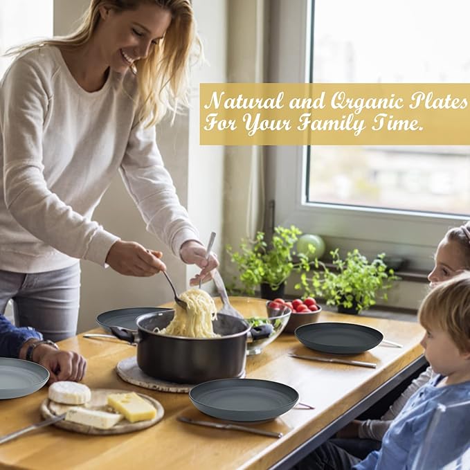 Wrova Wheat Straw Dinner Plates - 10 Inch Unbreakable Set of 8 - Dishwasher & Microwave Safe Reusable Plates - Lightweight for Kitchen, Camping (Classic Series)