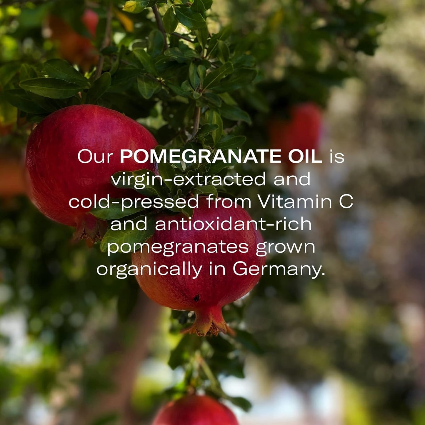 Odacité Hydrating Serum Concentrate with Pomegranate & Rose Geranium - for Hydration & Glow - Hydrating & Nourishing Anti-Aging Facial Oil Concentrate Enhance Skins Moisture Barrier - 0.17 fl. oz-BrightBean Baby