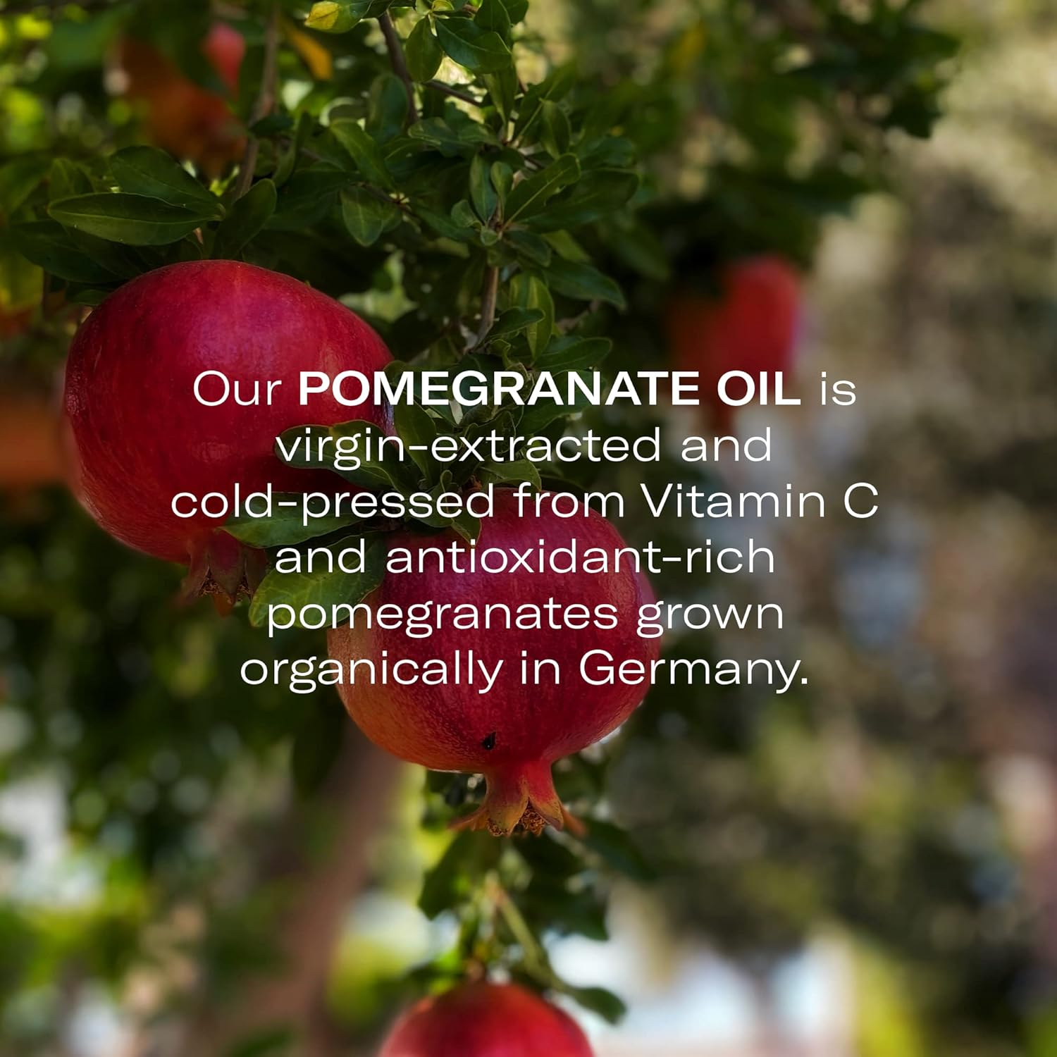 Odacité Hydrating Serum Concentrate with Pomegranate & Rose Geranium - for Hydration & Glow - Hydrating & Nourishing Anti-Aging Facial Oil Concentrate Enhance Skins Moisture Barrier - 0.17 fl. oz-BrightBean Baby