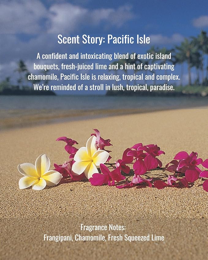 Hines+Young Travel Tins Gift Set - 4 oz Body Cream, 2 oz Linen Spray, Natural Lip Balm - Skin Care and Refreshing Home Fragrance, Ideal Self-Care Gift Set (Pack of 3, Pacific Isle)-BrightBean Baby