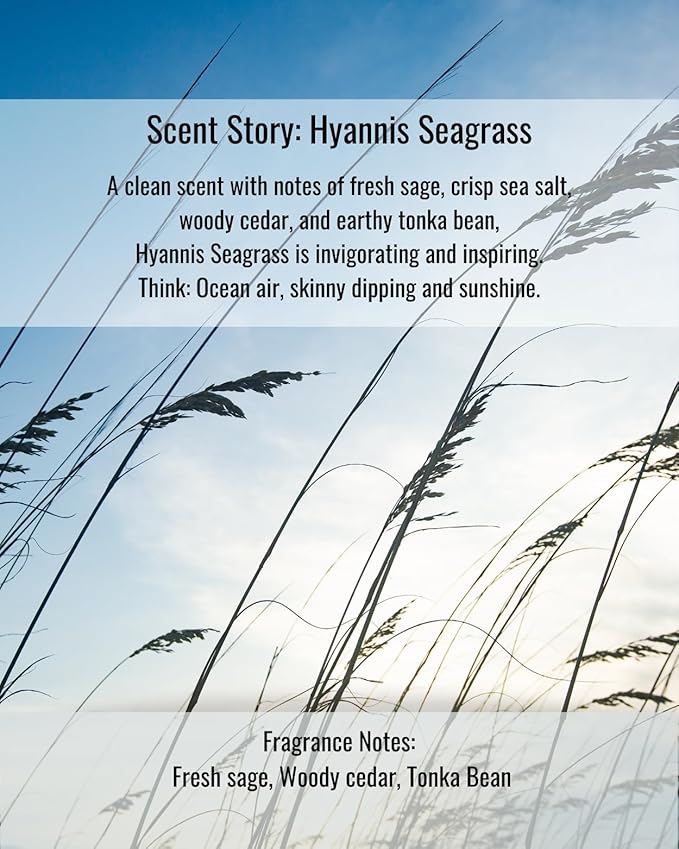 Hines+Young Travel Tins Gift Set - 4 oz Body Cream, 2 oz Linen Spray, Natural Lip Balm - Skin Care and Refreshing Home Fragrance, Ideal Self-Care Gift Set (Pack of 3, Hyannis Seagrass)-BrightBean Baby