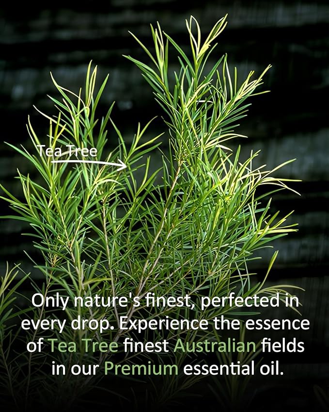 Pure Tea TreeEssential Oil, 100% Pure Natural Tea TreeEssential Oil, Premium Grade Essential Oils for Diffusers for Home, Skin, Care Massage, Soap Making, Aromatherapy, 4 Fl Oz | 120ml-BrightBean Baby