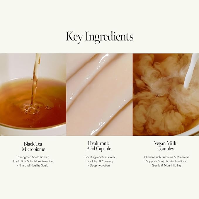 Vegan Nourishing Scalp Shampoo with Black Tea, Hyaluronic & Amino Acids to Strengthen Scalp Barrier, Creamy Woody Scent, Paraben, Sulfate & Silicone Free 450ml / 15.22 fl. Oz-BrightBean Baby