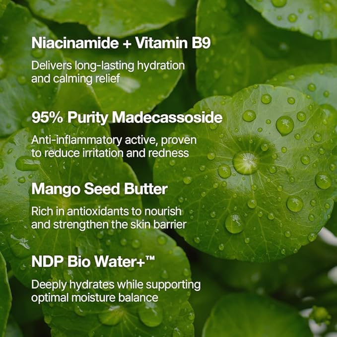 NDP Vitamin B9 Tone-up Cream, Silicone Free Face Primer for Pore Minimizing, 95% Pure Cica Extract, Breathable Skin Formula, Glass Skin & Lightweight, V-Cream Clean K-Beauty (65ml / 2.19 Fl Oz)-BrightBean Baby