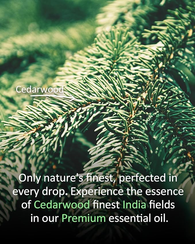 Pure Cedar Essential Oil, 100% Pure Natural Cedar Essential Oil, Premium Grade Essential Oils for Diffusers for Home, Skin, Care Massage, Soap Making, Aromatherapy, 4 Fl Oz | 120ml-BrightBean Baby