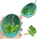 Herb Stripper, 4-Hole Design Pottery Herb Stripper,Handmade Ceramic Herb Stripper Bowl for Removing Leaves and Stems in the Kitchen (Celadon Glaze)