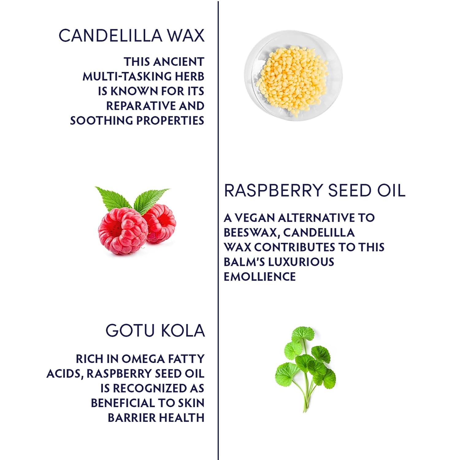 Naturopathica Gotu Kola Intense Repair Balm, Daily Facial Moisturizer for Skin Barrier Repair, Hydrating Face Cream to Help Reduce Redness, 2.8 oz-BrightBean Baby