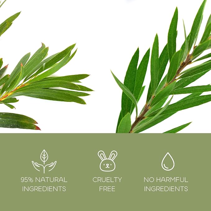 Charcoal & Tea Tree Peel-Off Face Mask - Blackhead Remover, Acne Treatment, Unclogs Pores, Deep Cleansing - Dermatologist Tested Korean Skincare, Clean Beauty, Cruelty-Free - 6.7 Fl oz-BrightBean Baby