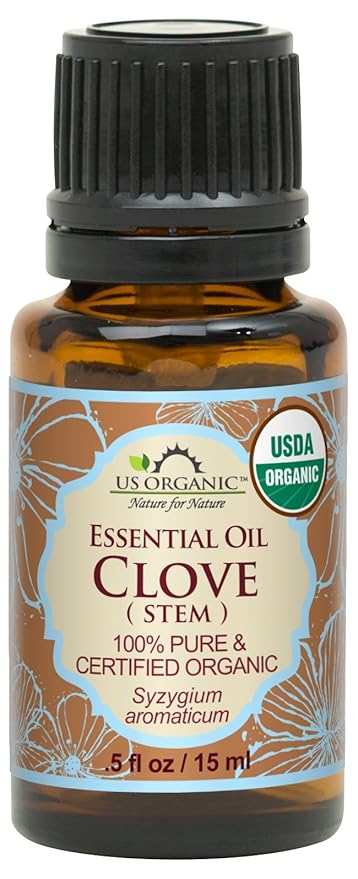 US Organic 100% Pure Clove Stem Essential Oil - USDA Certified Organic, Steam Distilled (15 ml)-BrightBean Baby