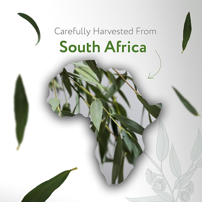 HBNO Organic Eucalyptus Radiata Essential Oil - 4 oz (120ml) - USDA Certified Organic Eucalyptus Radiata Essential Oil, Soap Making, DIY, Fragrances, Diffuser-BrightBean Baby