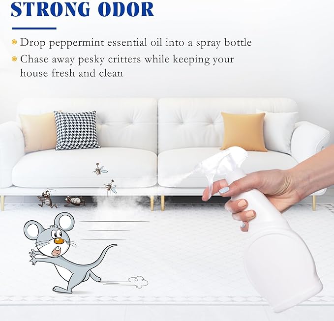 HIQILI 1 Fl Oz Peppermint Oil, for Homemade Spray, Diffuser, 100% Pure Natural 30ML-BrightBean Baby