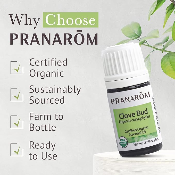 Pranarom USDA Certified Organic Clove Essential Oil (5ml), 100% Pure Undiluted Therapeutic Grade from Sri Lanka & Madagascar for Aromatherapy, Diffuser, Immune Support, DIY Cleaning, Warm Scent-BrightBean Baby