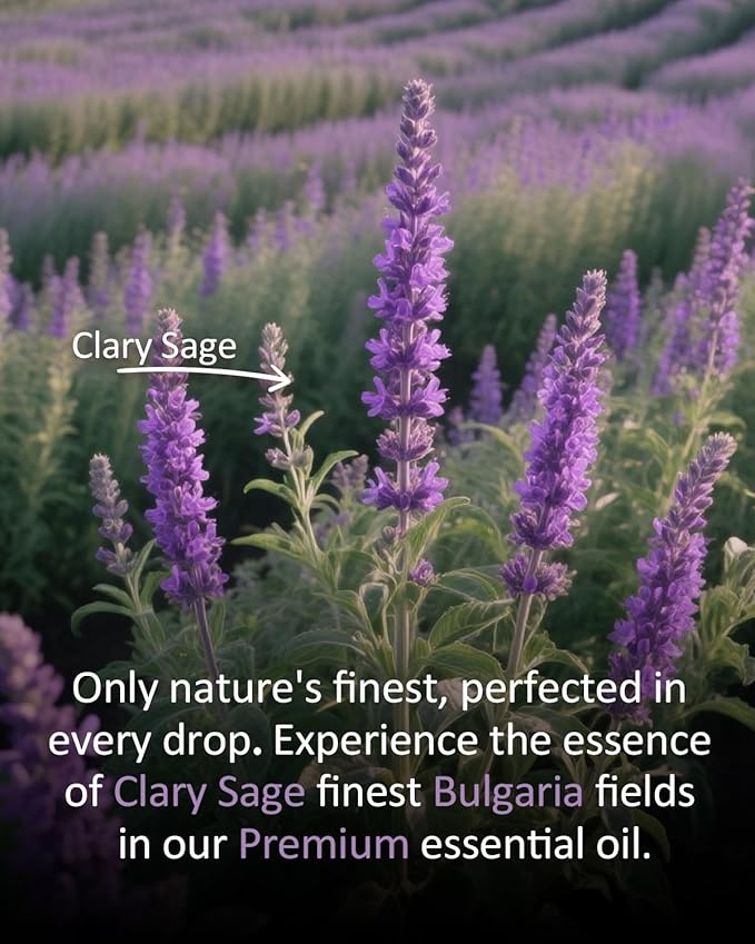 Pure Clary Sage Essential Oil, 100% Pure Natural Clary Sage Essential Oil, Premium Grade Essential Oils for Diffusers for Home, Skin, Care Massage, Soap Making, Aromatherapy, 4 Fl Oz | 120ml-BrightBean Baby