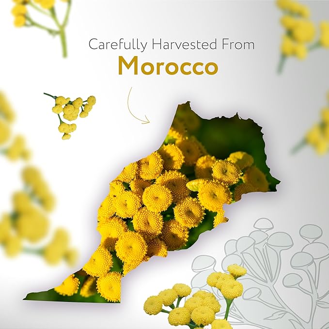 HBNO USDA Certified Organic Blue Tansy Essential Oil - 1/3 OZ (10 ml) Travel Size - Perfect for Aromatherapy, DIY, Candle Making, Soap Making, Diffusers - Blue Tansy Essential Oils-BrightBean Baby