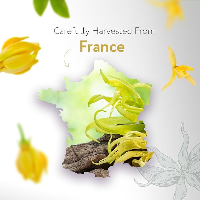 HBNO Ylang Ylang Essential Oil - 1 OZ (30 ml) Travel Size - Perfect for Aromatherapy, DIY, Candle Making, Soap Making, Diffusers-BrightBean Baby