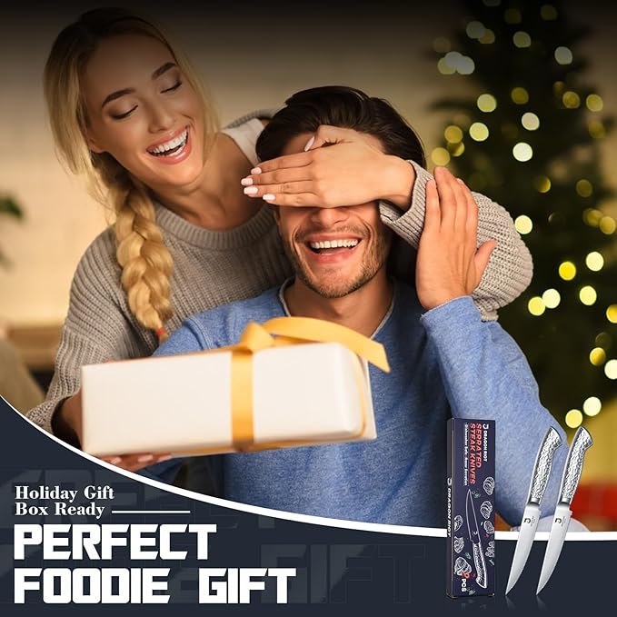 DRAGON RIOT Steak Knives Set of 2，Japanese Stainless Steel Steaks Knife With Serrated Edge Dinner Knife Diswasher Safe Steak Knives with Box