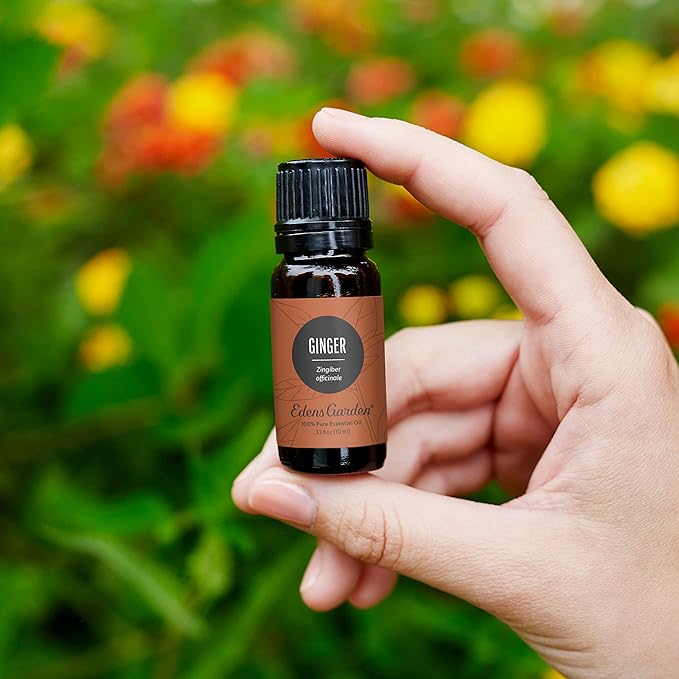 Edens Garden Ginger Essential Oil- 100% Pure Premium Grade, Undiluted, Natural, Therapeutic, Aromatherapy, The Best for Diffuser, Skin, Candle, Kid Safe 30 ml (1 fl oz)-BrightBean Baby