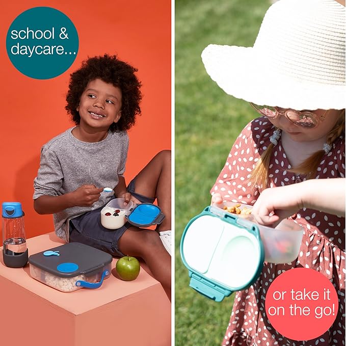 b.box Snack Box Reusable Snack Containers with Lids 2 compartments, Bento Box for kids and toddlers, Leakproof Lunch Box, BPA free and Dishwasher Safe Snack Container (Blush Crush, 1 3/4 Cup)