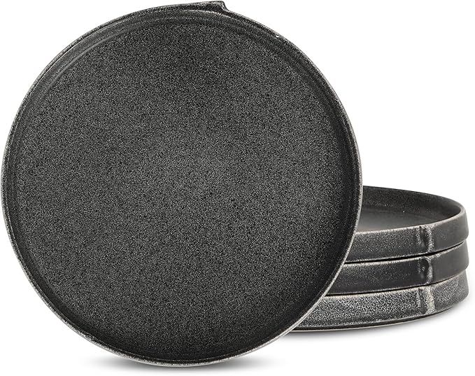 Stone Lain Bao 4-Piece Dinner Plate Set Stoneware, Charcoal
