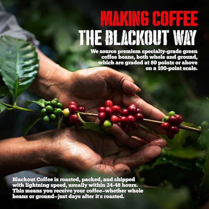 Blackout Coffee Blueberry Crumble Flavored Coffee Pods – Medium Roast, Smooth Taste, Guilt-Free Indulgence – Freshly Roasted 18 Count, American Made