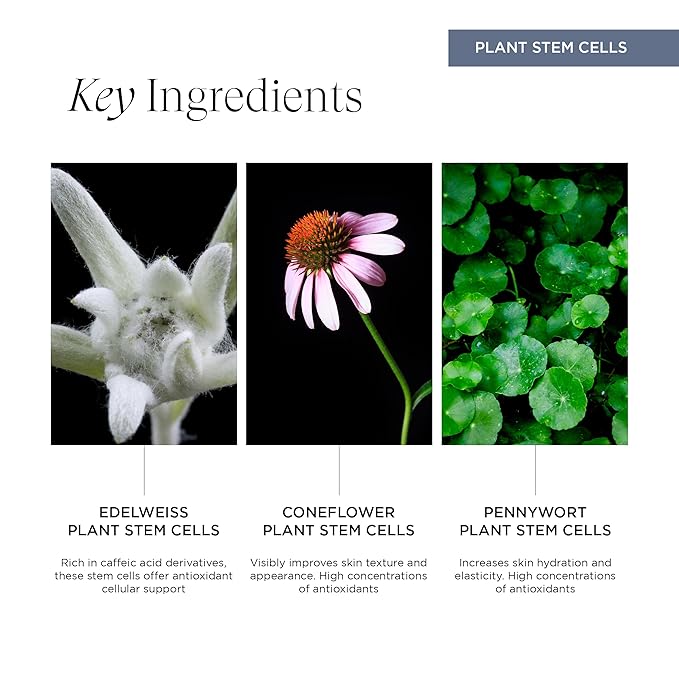 Re:generative Eye Gel, Firming Treatment for Dark Circles and Puffiness, With Plant Actives to Brighten, Refresh and Protect, 0.5 Oz-BrightBean Baby