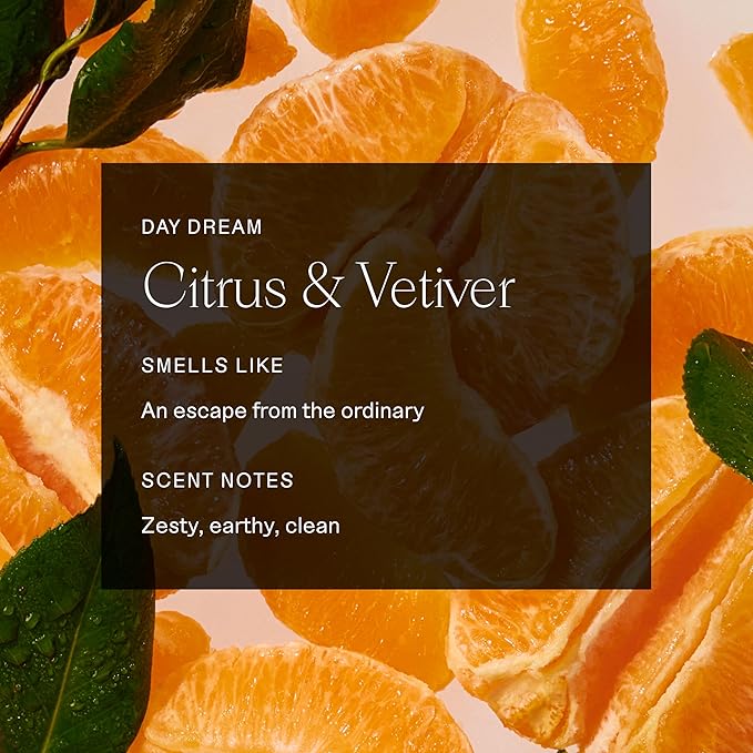 Each & Every Aluminum Free Deodorant for Women & Men, Citrus & Vetiver - All Natural Deodorant for Sensitive Skin, EWG Verified - Clean, Baking Soda-Free, Plant-Based Fragrance - 2.5oz, 2 Pack-BrightBean Baby