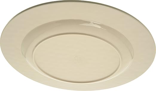 Carlisle FoodService Products Grove Reusable Plastic Plate Dinner Plate with Wide Rim for Home and Restaurant, Melamine, 11 Inches, Aqua, (Pack of 12)