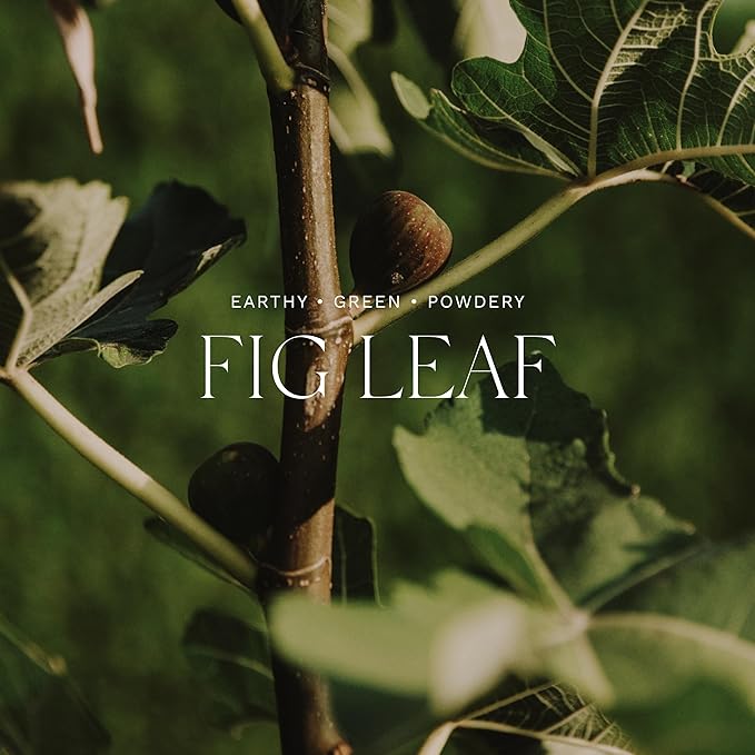 Antica Farmacista Body Moisturizer - Moisturizing Scented Lotion - Premium Body Moisturizer - Luxury Gift for Women & Men - Hand & Skin Hydration - Fig Leaf, 10 Fl Oz-BrightBean Baby