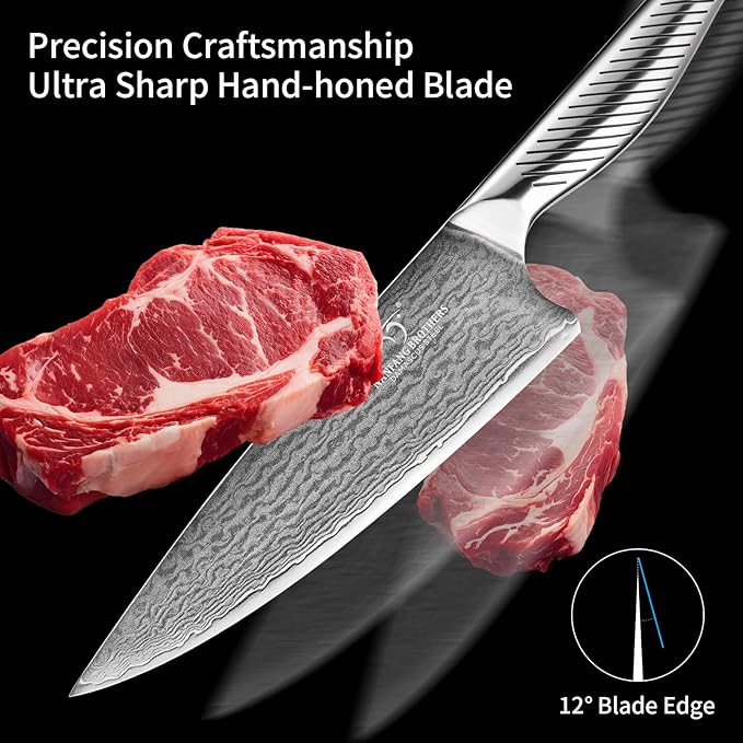 NANFANG BROTHERS® 10 Pieces Damascus Kitchen Knife Set, High Carbon Stainless Steel Damascus Steel Chef Knife Set, Stainless Steel Ergonomic Handle for Chef, with Built-in Sharpening Rod NF