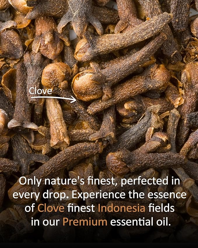 Pure Clove Essential Oil, 100% Pure Natural Clove Essential Oil, Premium Grade Essential Oils for Diffusers for Home, Skin, Care Massage, Soap Making, Aromatherapy, 4 Fl Oz | 120ml-BrightBean Baby