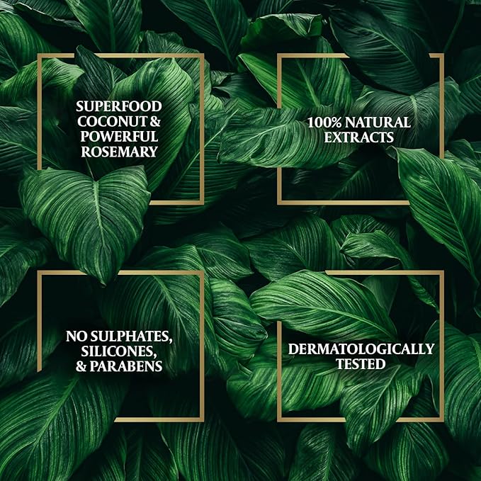 Parachute Advansed Rosemary Hair Oil with Coconut| For 2x Longer & Thicker Hair| Reduces Hairfall & Strengthens Hair| All Hair Types|No Parabens & Silicones| 10.1 Fl.oz.-BrightBean Baby