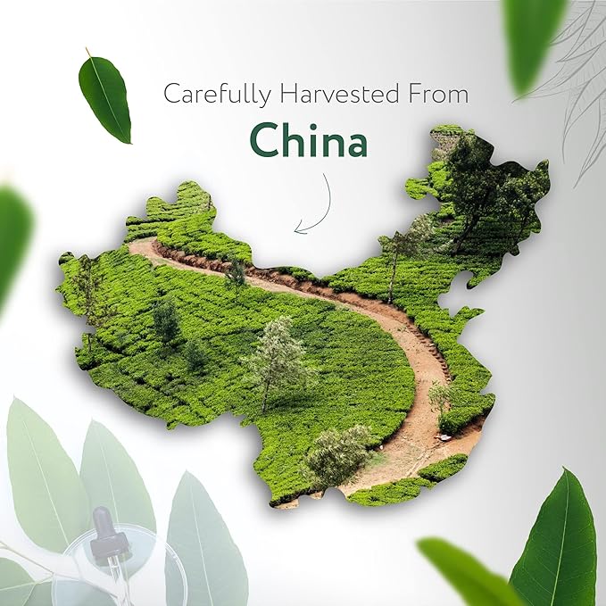 HBNO California Bottled Eucalyptus Essential Oil for Diffuser 4 fl oz (120ml) - Perfect Eucalyptus Oil Essential Oil for Aromatherapy & DIY-BrightBean Baby