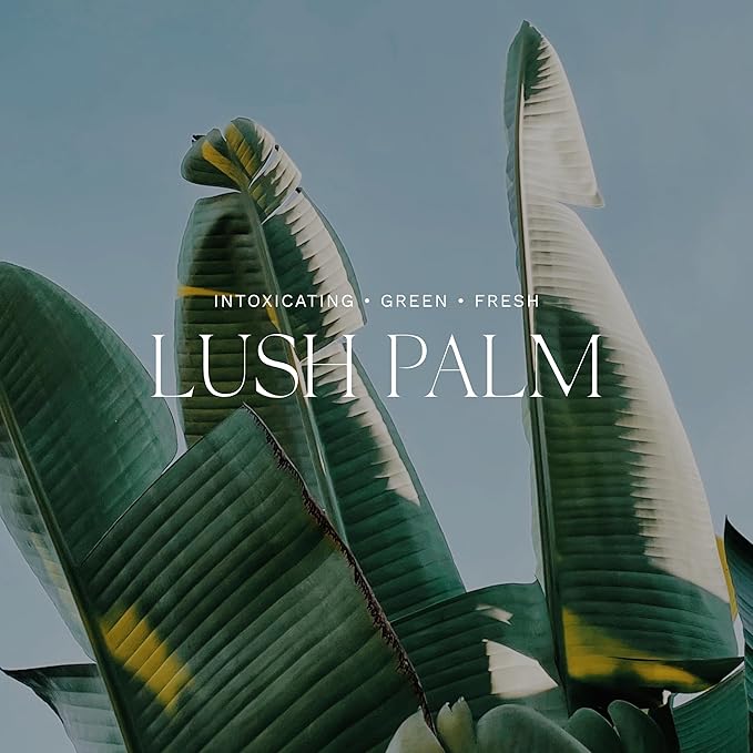 Antica Farmacista Body Moisturizer - Moisturizing Scented Lotion - Premium Body Moisturizer - Luxury Gift for Women & Men - Hand & Skin Hydration - Lush Palm, 10 Fl Oz-BrightBean Baby