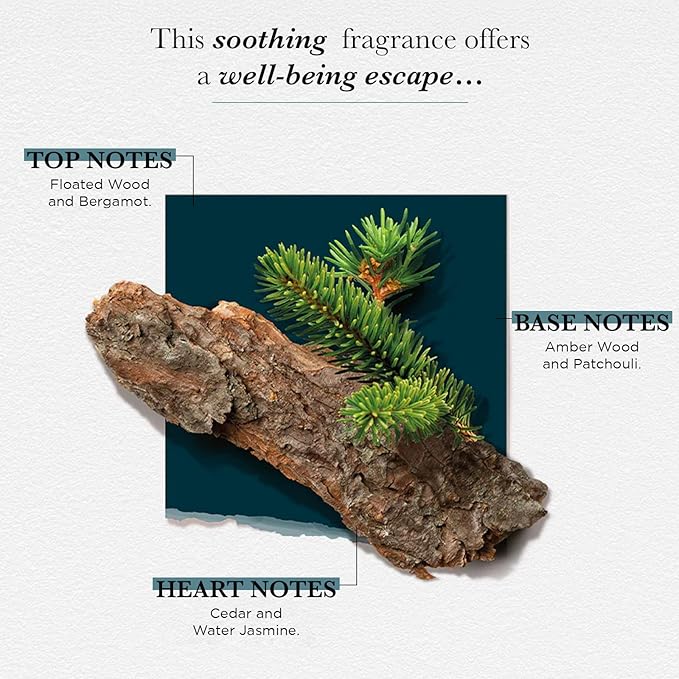 SOLINOTES Cedarwood Perfume for Men - Eau De Parfum | Refined Woody and Soothing Fragrance - Made in France - Vegan - 1.7 fl.oz-BrightBean Baby