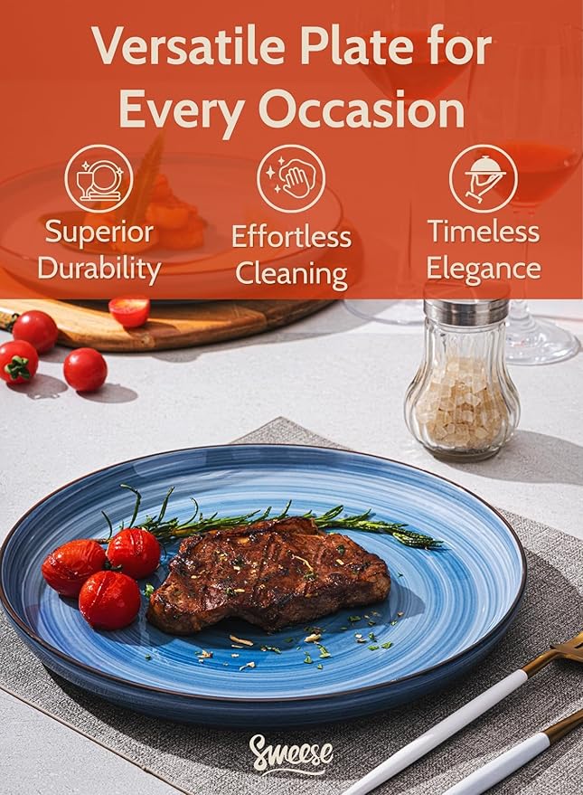 Sweese Dinner Plates, 10 Inch Round Porcelain Plates, Dish Set for Lunch, Party, Wedding, Restaurant, Microwave, Oven, Dishwasher Safe Plates Set of 6, Cool Assorted Colors