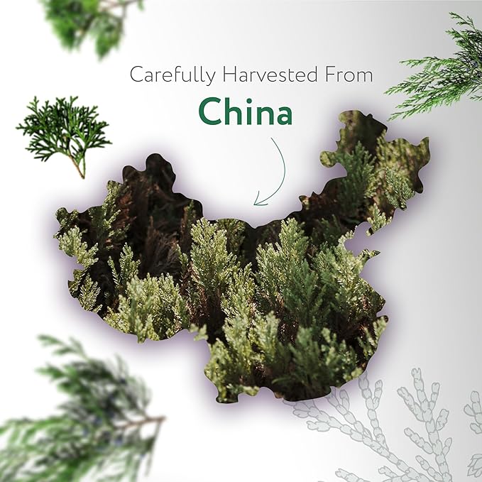 HBNO Cedarwood Essential Oil - Huge 4 oz (120ml) Value Size - Natural Cedarwood Oil - Perfect for Cleaning, Aromatherapy, DIY, Soap & Diffuser-BrightBean Baby