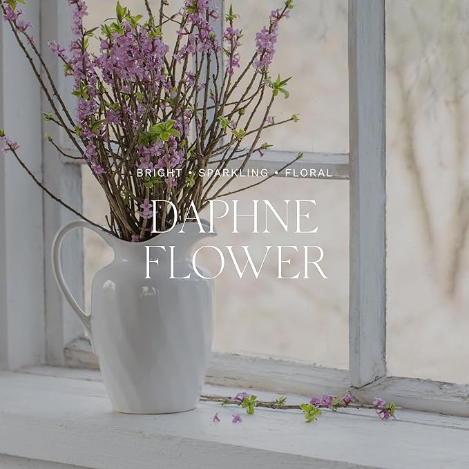 Antica Farmacista Body Moisturizer - Moisturizing Scented Lotion - Premium Body Moisturizer - Luxury Gift for Women & Men - Hand & Skin Hydration - Daphne, 10 Fl Oz-BrightBean Baby