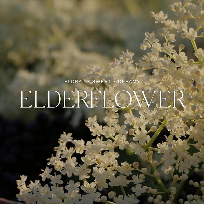 Antica Farmacista Body Moisturizer - Moisturizing Scented Lotion - Premium Body Moisturizer - Luxury Gift for Women & Men - Hand & Skin Hydration - Elderflower, 10 Fl Oz-BrightBean Baby