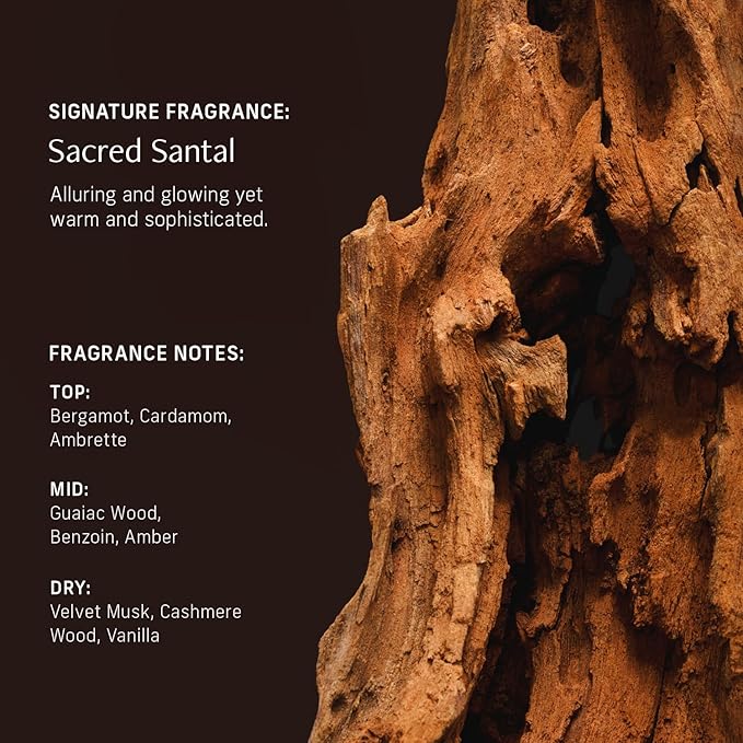 Nutrient Rich Body Cream. Sacred Santal Nourishing Moisturizer with Niacinamide and Banana Flower Extract. Deep Hydration, Thick Body Lotion, Dry Skin Cream for Women and Men, 8 Fl Oz-BrightBean Baby