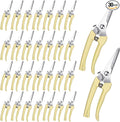 Chumia 30 Pcs Garden Flower Shears Pruning Scissors Heavy Duty Plant Scissors Trimming Garden Clippers Hand Tree Pruner for Yard Gardening Plants Hedge Flower Tree Cutting Secateurs (Beige)