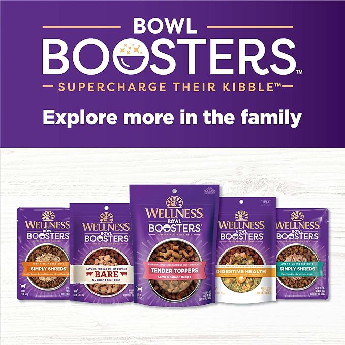 Wellness Bowl Boosters, Dog Food Topper for Small, Medium, & Large Breeds, Grain Free, Natural, Freeze Dried, Digestive Health Chicken, 4 Ounce Bag (Pack of 1)