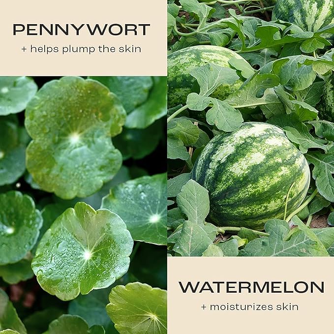 Firm Believer: 30ml Under Eye Cream with Vitamin C - Puffiness, Dark Circles, Eye Bags, Fine Lines and Wrinkles Reducer - Anti-Aging Eye Creams and Skin Care for Men and Women-BrightBean Baby