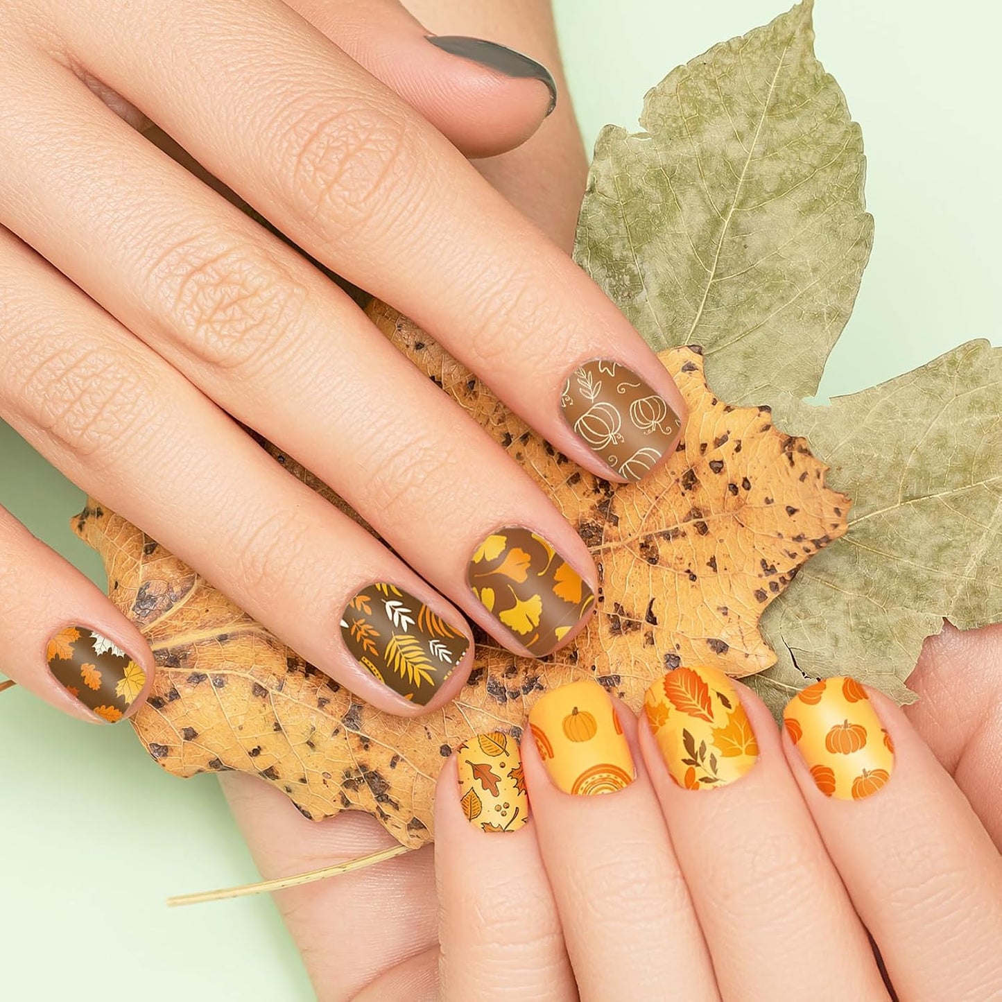2 Sheet Fall Thanksgiving Nail Art Stamping Plate Kit Assorted Pumpkins Maple Leaves Autumn Blessing Collection Nail Art Plate for Holiday DIY Print Manicure Salon, 5.7 x 3.7inch-BrightBean Baby