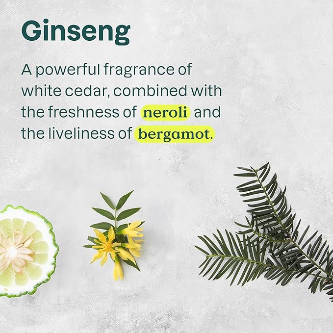 ATTITUDE Body Cream, EWG Verified Moisturizer, Vegan Moisturizing Products For Dry Skin, Dermatologically Tested, Ginseng and Grapeseed Oil, 8 Fl Oz-BrightBean Baby