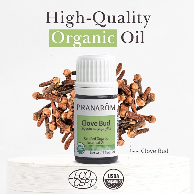 Pranarom USDA Certified Organic Clove Essential Oil (5ml), 100% Pure Undiluted Therapeutic Grade from Sri Lanka & Madagascar for Aromatherapy, Diffuser, Immune Support, DIY Cleaning, Warm Scent-BrightBean Baby