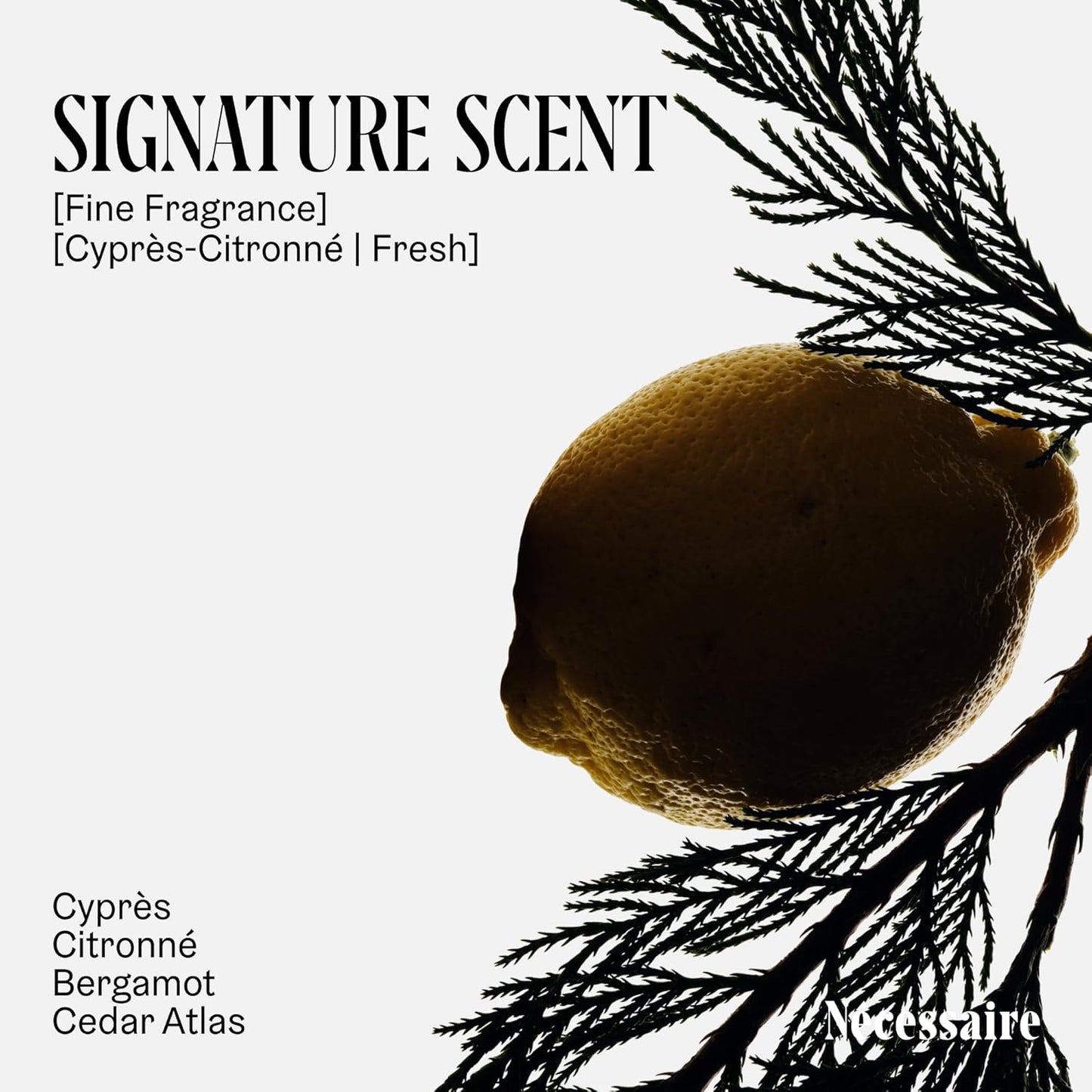 Nécessaire The Body Lotion Cyprès-Citronné – Multi-Peptide Body Moisturizer for Women + Men – Non-Comedogenic Body Lotion with Niacinamide – 450ml/15.2 fl oz-BrightBean Baby