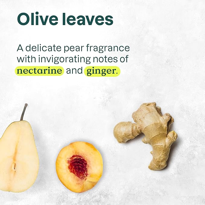 ATTITUDE Body Cream, EWG Verified Moisturizer, Vegan Moisturizing Products For Dry Skin, Dermatologically Tested, Olive Leaves, 8 Fl Oz-BrightBean Baby