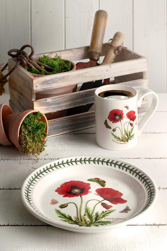 Portmeirion Botanic Garden 8.5" Salad Plates - Set of 6 | Assorted Floral Motifs | Fine Earthenware | Chip Resistant Glaze | Dishwasher, Microwave, Freezer, Oven Safe | Made in England