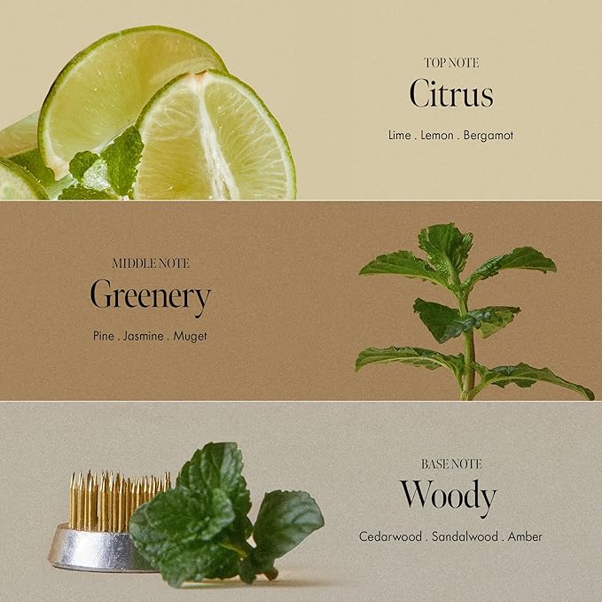 Lime Sunday Refresh Hair Vinegar with Vitamin C, Vinegar, Green Mint for Deep Cleansing Oily Scalp and Reducing Oil Production, Lime Citrus Scent, Silicone, Sulfate & Paraben Free (200ml / 6.76 fl.Oz)-BrightBean Baby