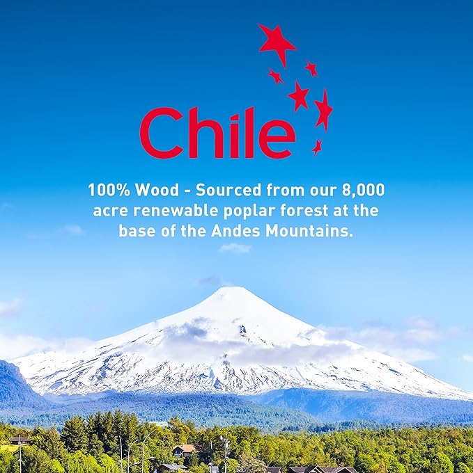 Disposable Wooden Cutlery Set - 100% Home Compostable - 100 Spoons 6.5", Bamboo Utensils Alternative, Eco-Friendly, Organic, Sustainable and Carbon Neutral Certified